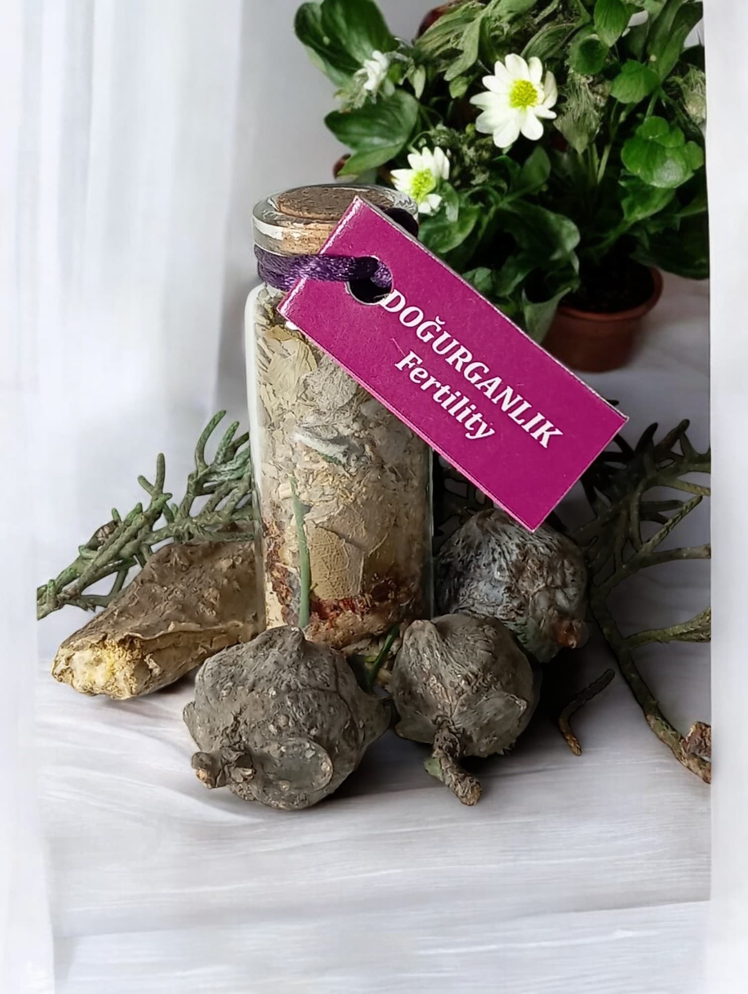 Doğurganlık Şişesi